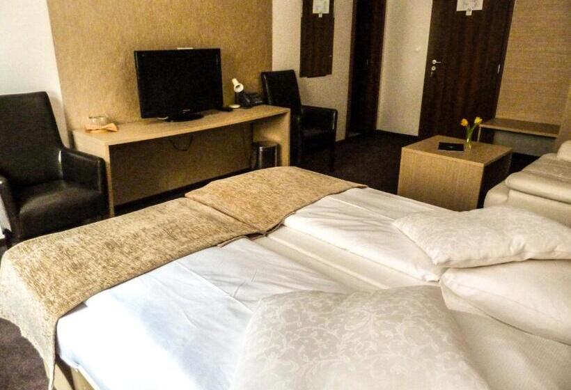 اتاق استاندارد, Elite Hotel Nová Dubnica