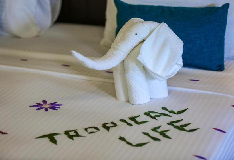 اتاق لوکس یک تخته, Tropical Life Resort And Spa