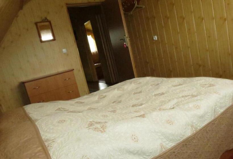 اتاق استاندارد با سرویس بهداشتی مشترک, Bilyy Kamin Guest House