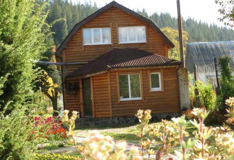 خانه 1 خوابه, Bilyy Kamin Guest House