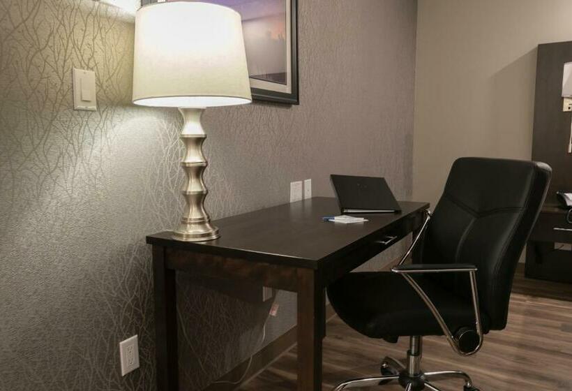 اتاق استاندارد با تخت بزرگ, Best Western Premier Northwood