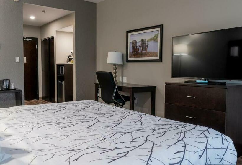 اتاق استاندارد با تخت بزرگ برای معلولان, Best Western Premier Northwood