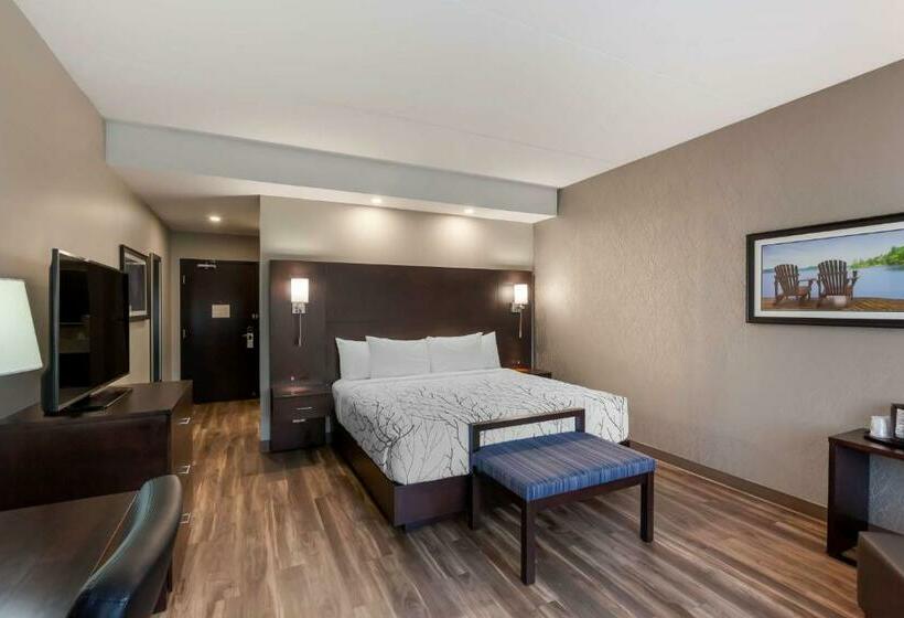 اتاق استاندارد با تخت بزرگ, Best Western Premier Northwood