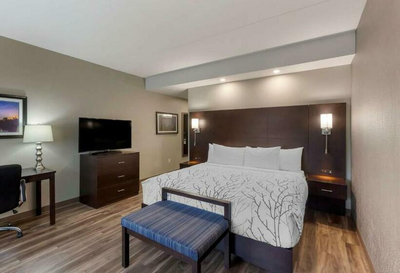 اتاق استاندارد با تخت بزرگ, Best Western Premier Northwood