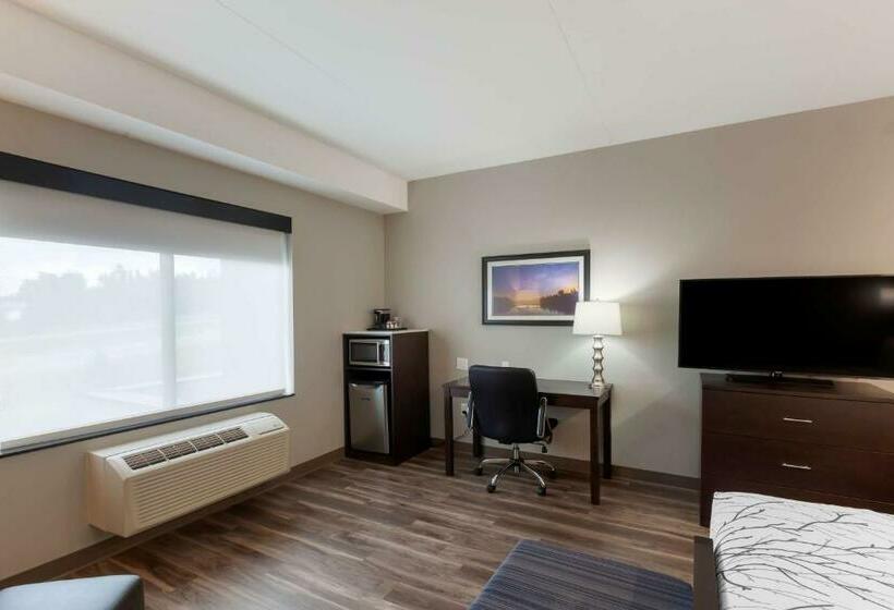 اتاق استاندارد با تخت بزرگ, Best Western Premier Northwood