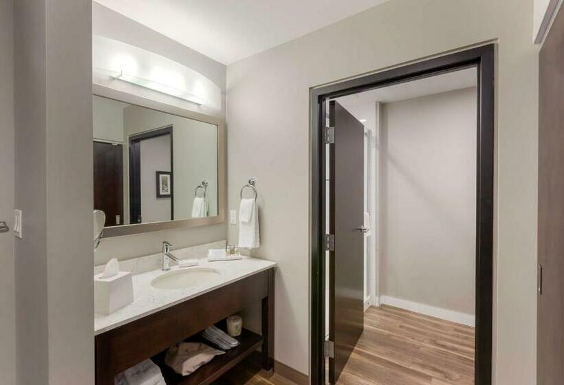اتاق استاندارد با تخت بزرگ, Best Western Premier Northwood