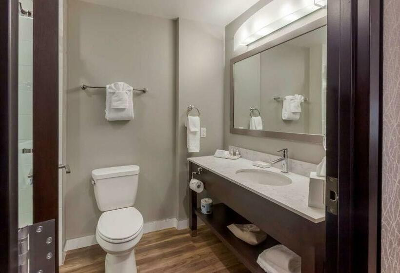 اتاق استاندارد با تخت بزرگ, Best Western Premier Northwood