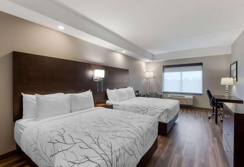 اتاق استاندارد برای معلولان, Best Western Premier Northwood