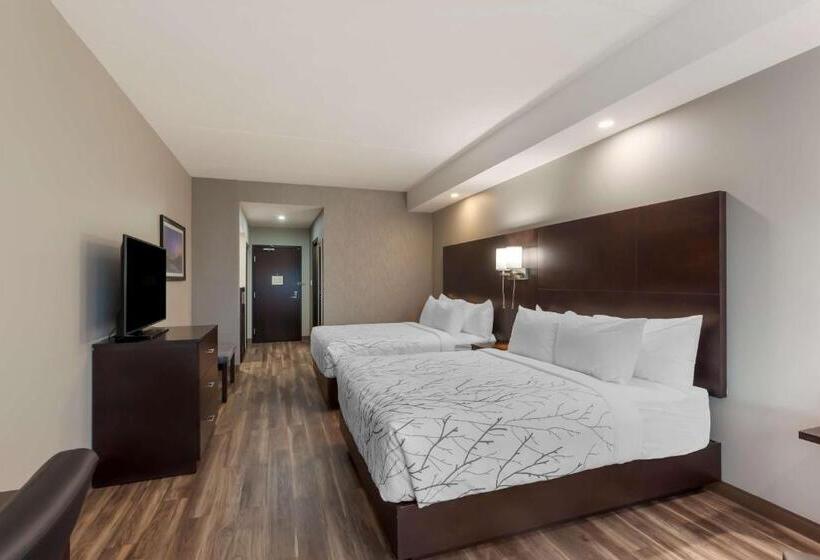 اتاق استاندارد برای معلولان, Best Western Premier Northwood