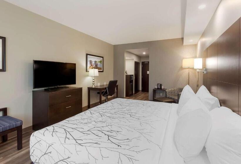 اتاق استاندارد با تخت بزرگ, Best Western Premier Northwood