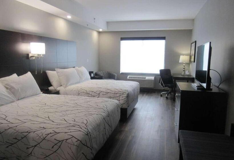 اتاق استاندارد, Best Western Premier Northwood