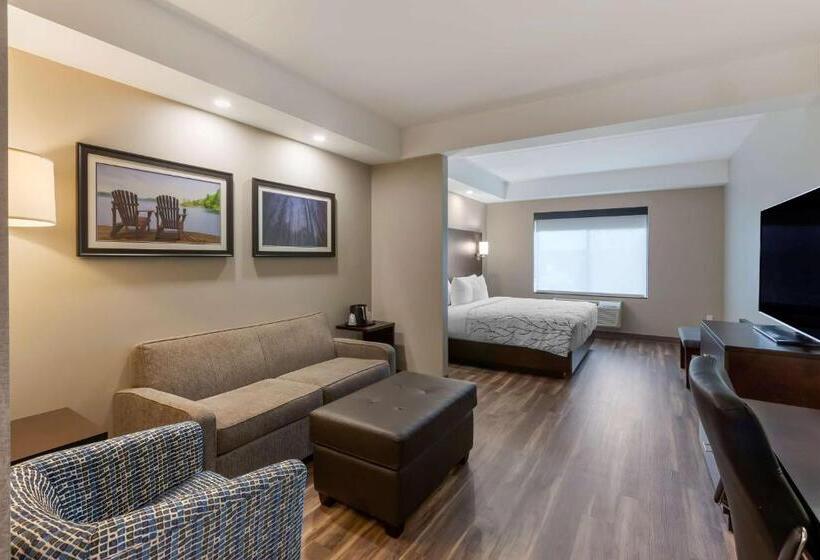 سوئیت با تخت بزرگ, Best Western Premier Northwood