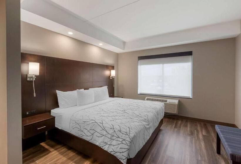 سوئیت با تخت بزرگ, Best Western Premier Northwood