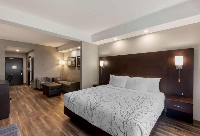 سوئیت با تخت بزرگ, Best Western Premier Northwood