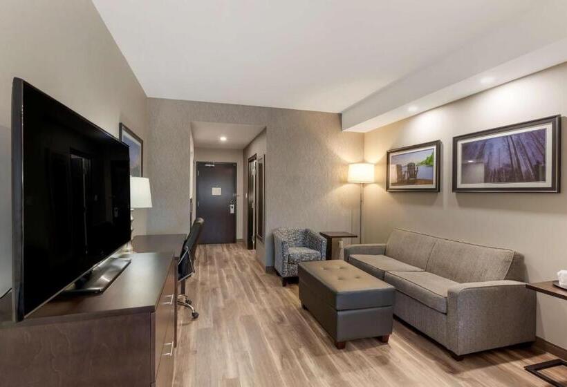 سوئیت با تخت بزرگ, Best Western Premier Northwood