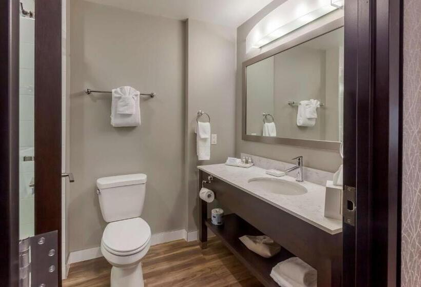 سوئیت با تخت بزرگ, Best Western Premier Northwood