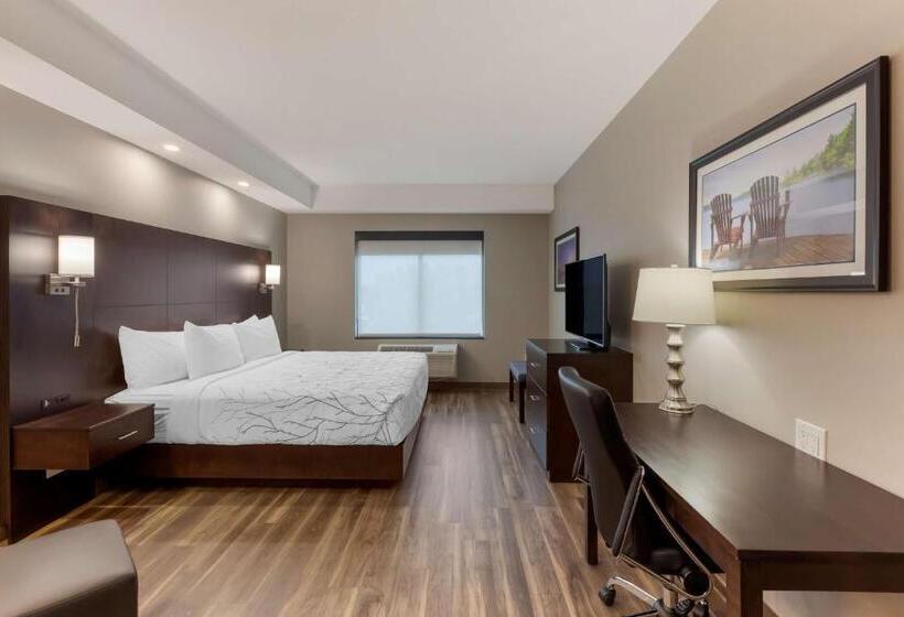 اتاق استاندارد با تخت بزرگ برای معلولان, Best Western Premier Northwood