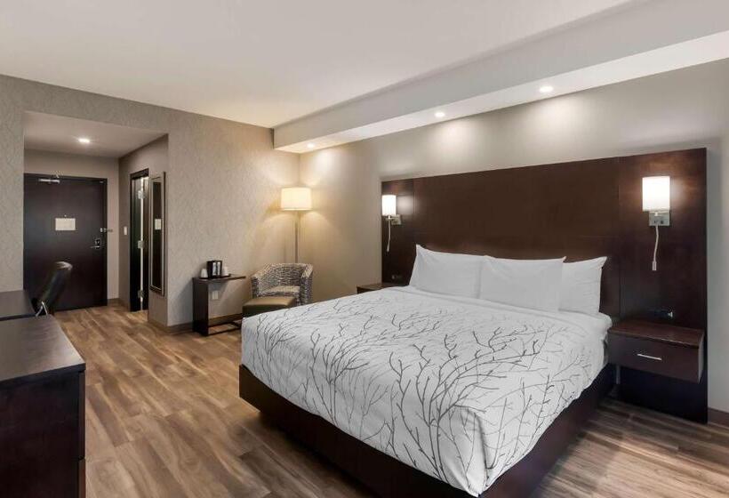 اتاق استاندارد با تخت بزرگ برای معلولان, Best Western Premier Northwood