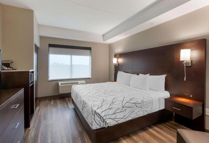 اتاق استاندارد با تخت بزرگ برای معلولان, Best Western Premier Northwood