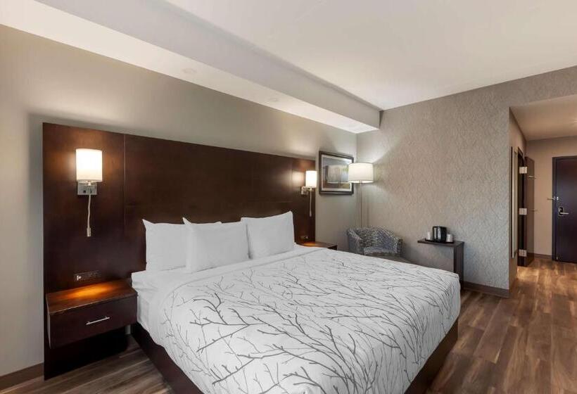 اتاق استاندارد با تخت بزرگ برای معلولان, Best Western Premier Northwood