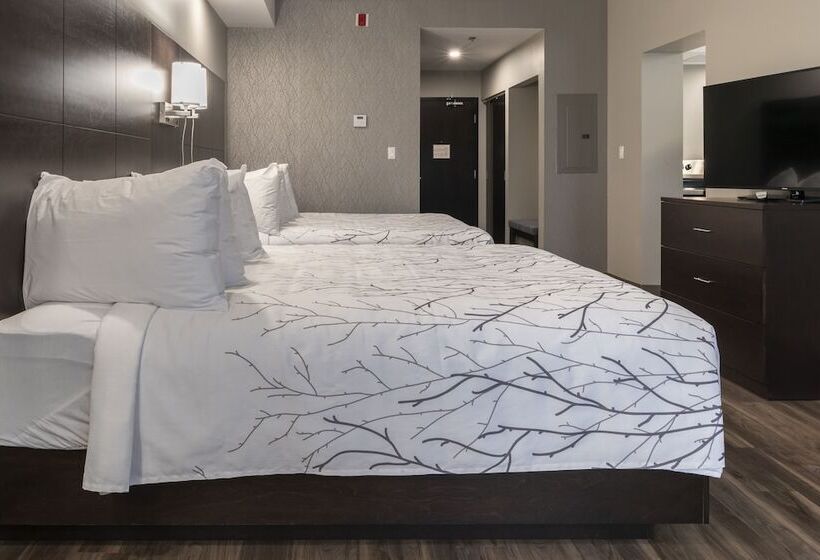 سوییت, Best Western Premier Northwood