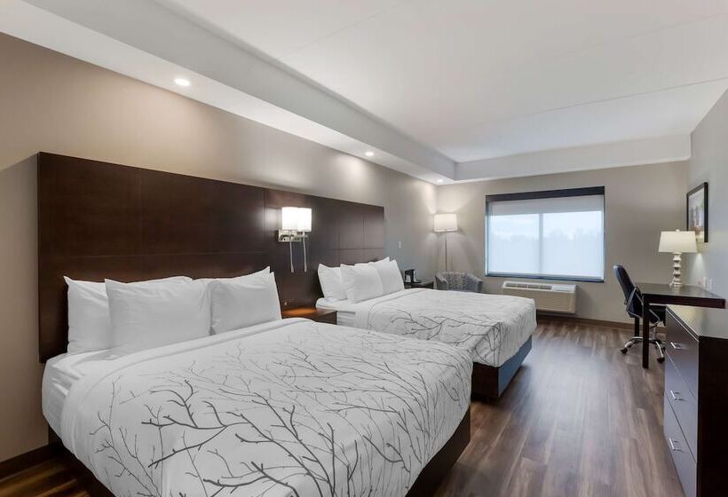 سوییت, Best Western Premier Northwood