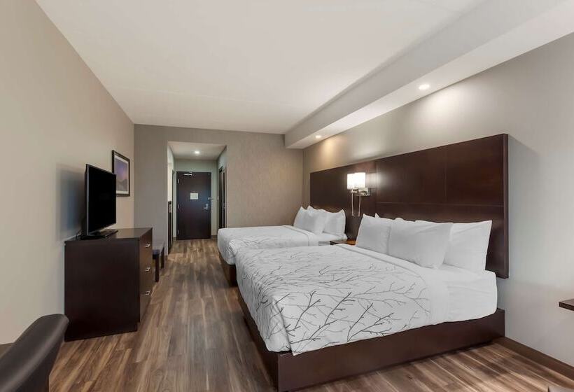 سوییت, Best Western Premier Northwood