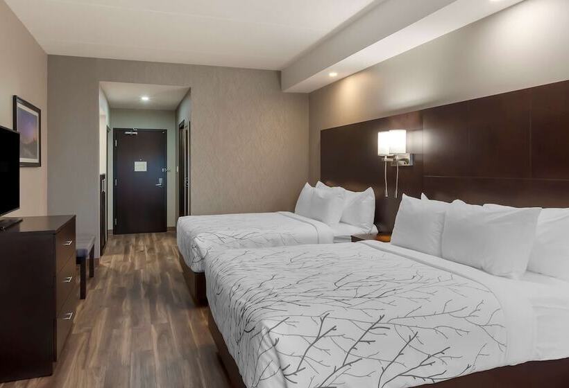 سوییت, Best Western Premier Northwood