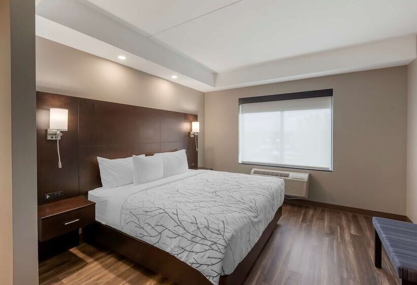سوییت, Best Western Premier Northwood