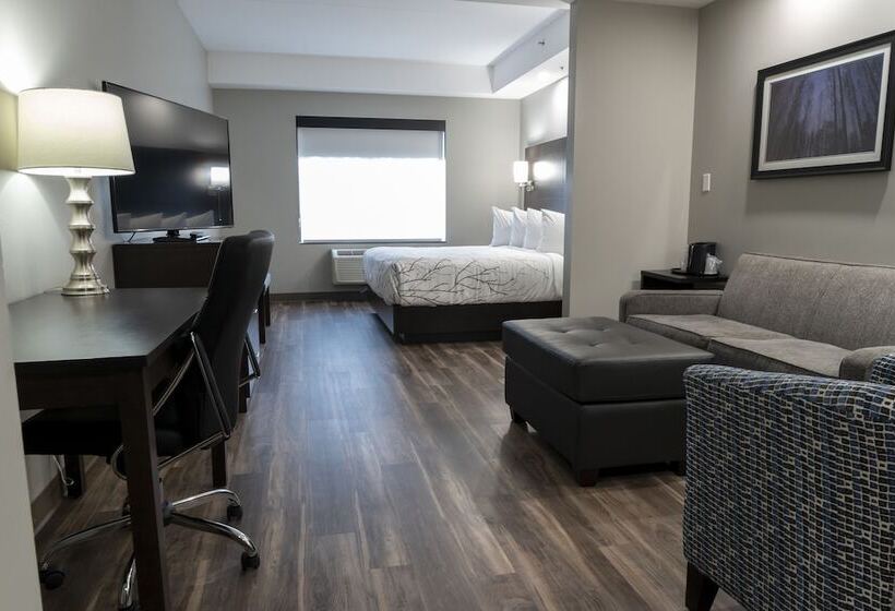 سوییت, Best Western Premier Northwood