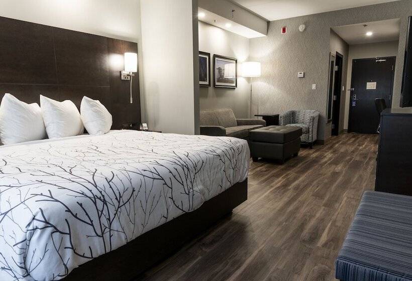 سوییت, Best Western Premier Northwood