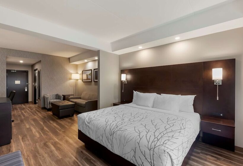 سوییت, Best Western Premier Northwood