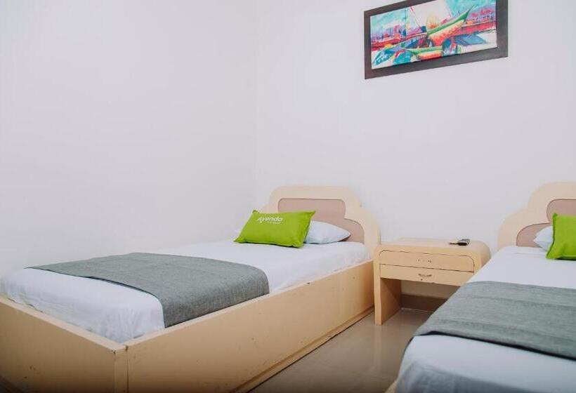 اتاق اکونومی, Ayenda 1614 Playa Y Mar