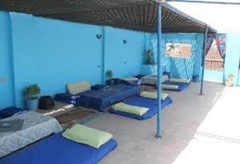 اتاق استاندارد, Oasis