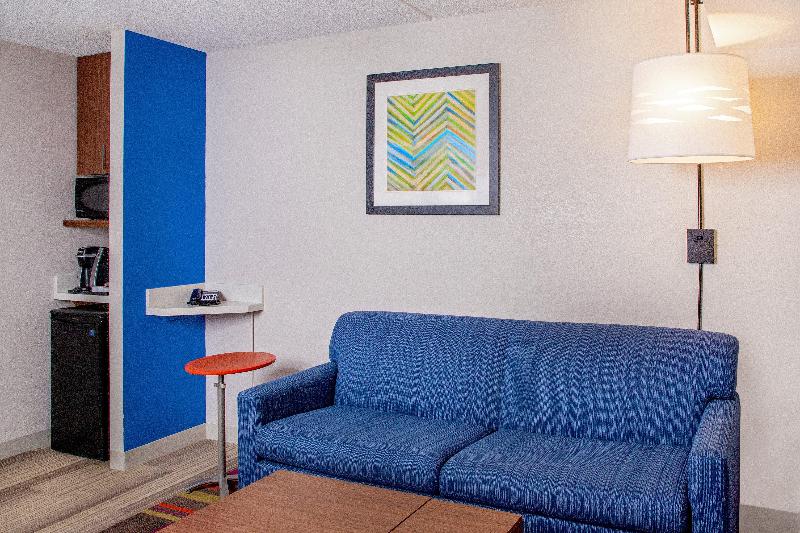سوئیت با تخت بزرگ, Holiday Inn Express Chesapeake   Norfolk, An Ihg