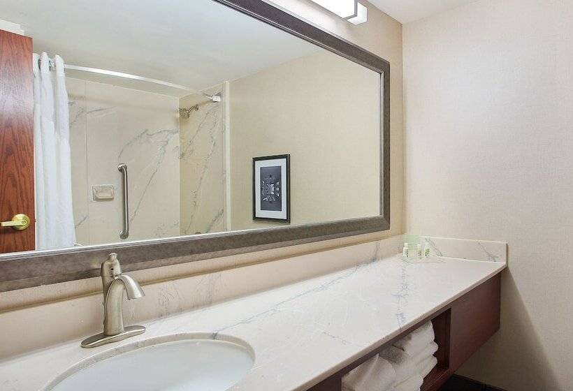 اتاق استاندارد, Holiday Inn University Plaza Bowling Green, An Ihg