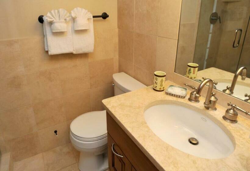 آپارتمان 1 خوابه, Vail Racquet Club Mountain Resort