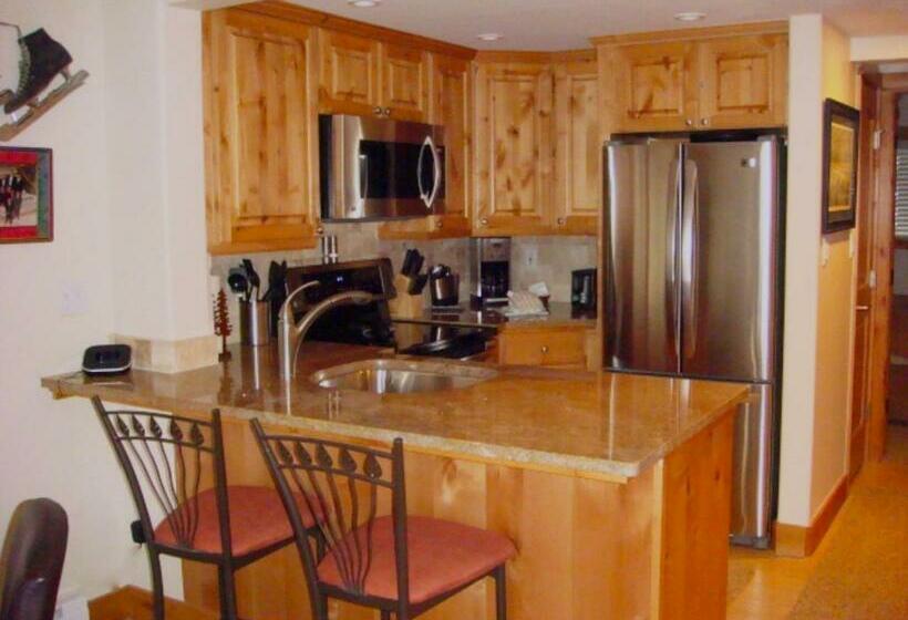 آپارتمان 1 خوابه, Vail Racquet Club Mountain Resort