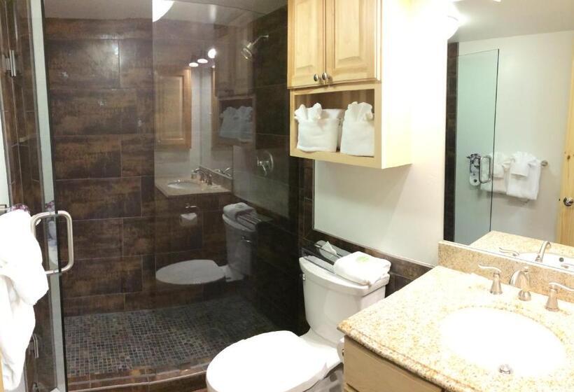 آپارتمان 1 خوابه, Vail Racquet Club Mountain Resort