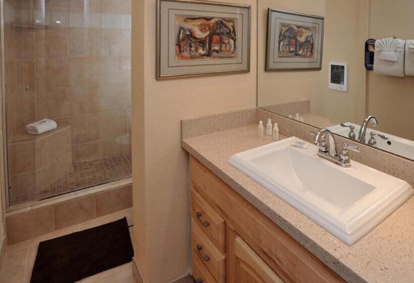 آپارتمان 1 خوابه, Vail Racquet Club Mountain Resort