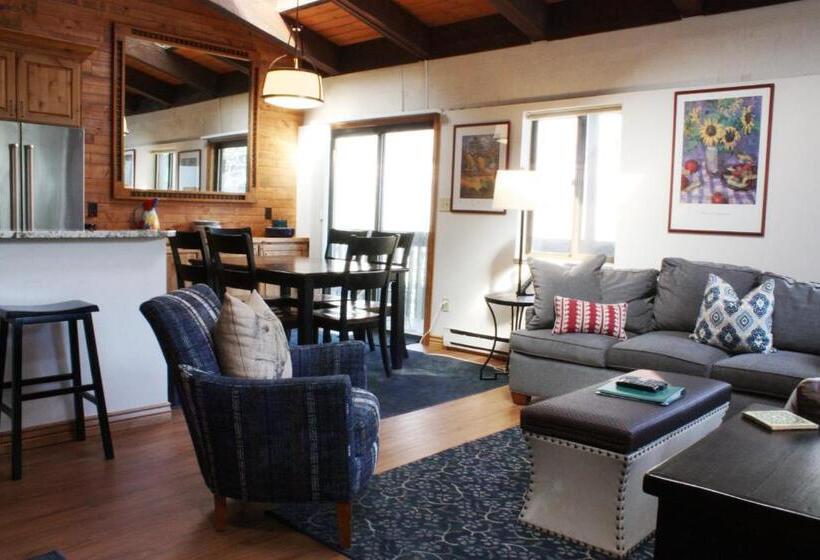 آپارتمان 3 خوابه, Vail Racquet Club Mountain Resort