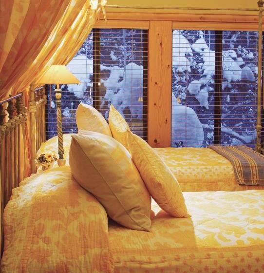 آپارتمان 3 خوابه, Vail Racquet Club Mountain Resort