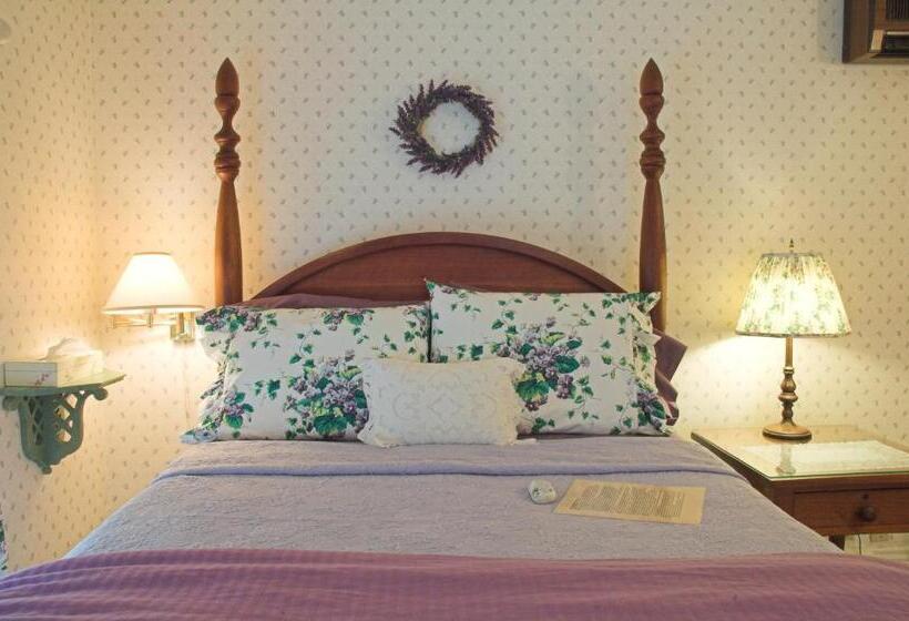 اتاق عادی, White Lace Inn