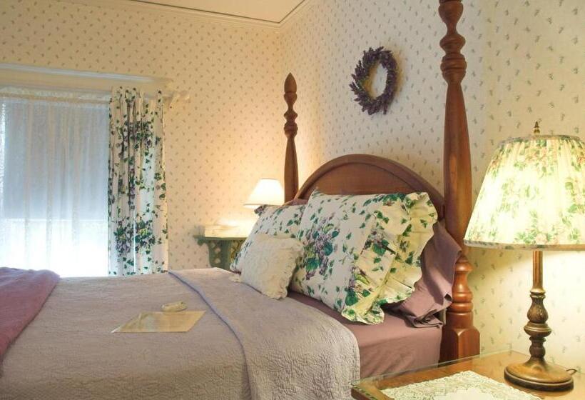 اتاق عادی, White Lace Inn