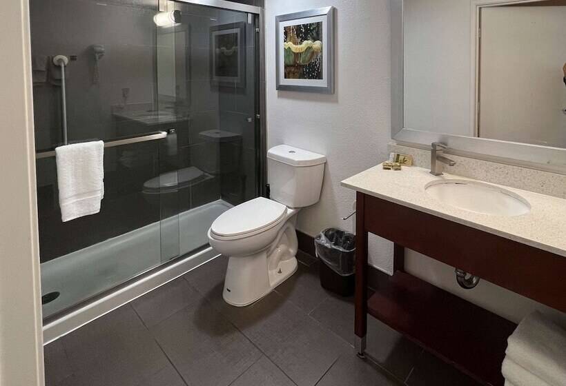 اتاق استاندارد با 2 تخت دوبل, Motel 6 San Francisco Ca Fishermans Wharf