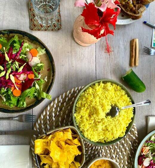 استودیوی استاندارد, Sonora Jungle & Yoga Retreat