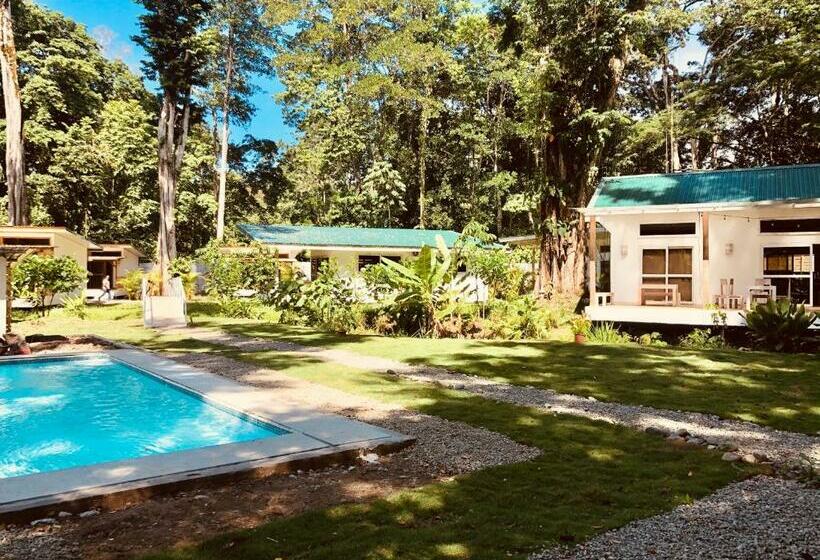 استودیوی استاندارد, Sonora Jungle & Yoga Retreat