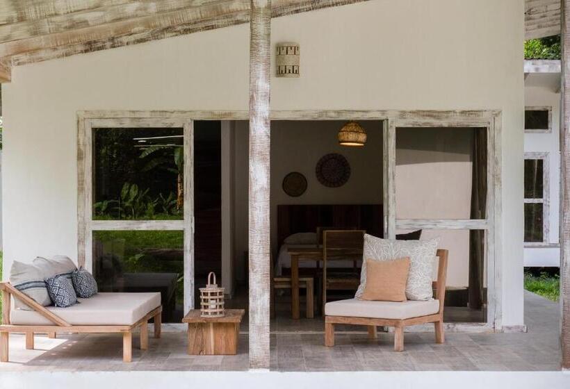 استودیوی استاندارد, Sonora Jungle & Yoga Retreat