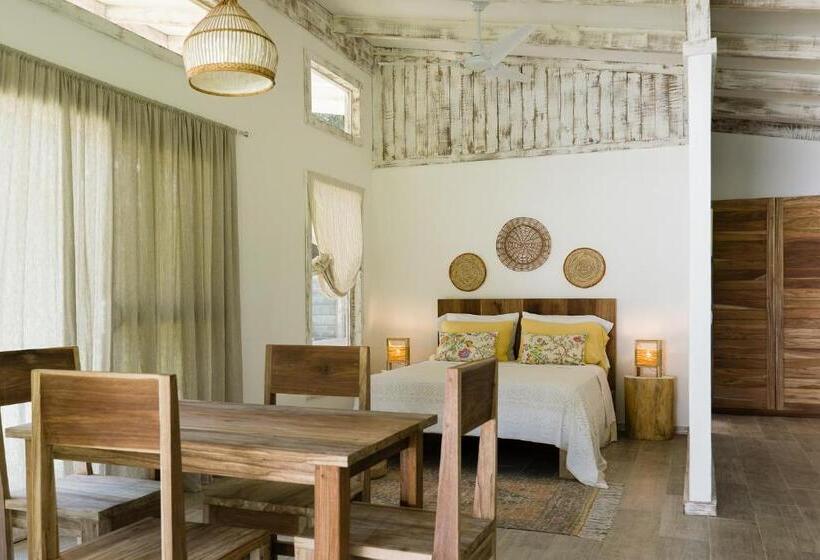 استودیوی استاندارد, Sonora Jungle & Yoga Retreat