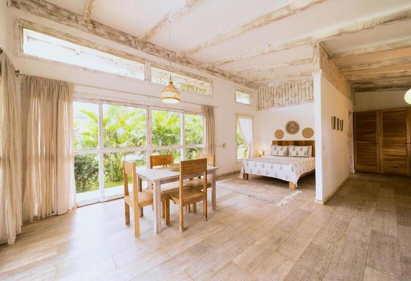استودیوی استاندارد, Sonora Jungle & Yoga Retreat